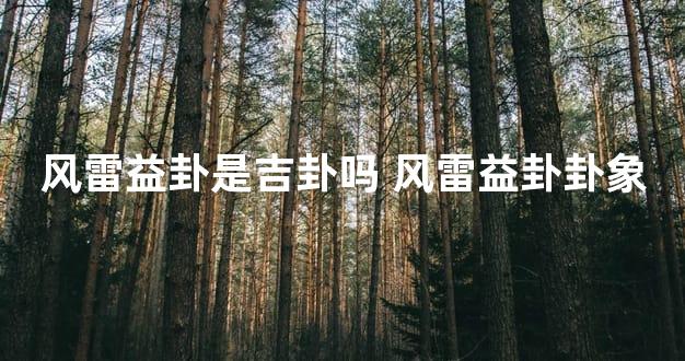 风雷益卦是吉卦吗 风雷益卦卦象